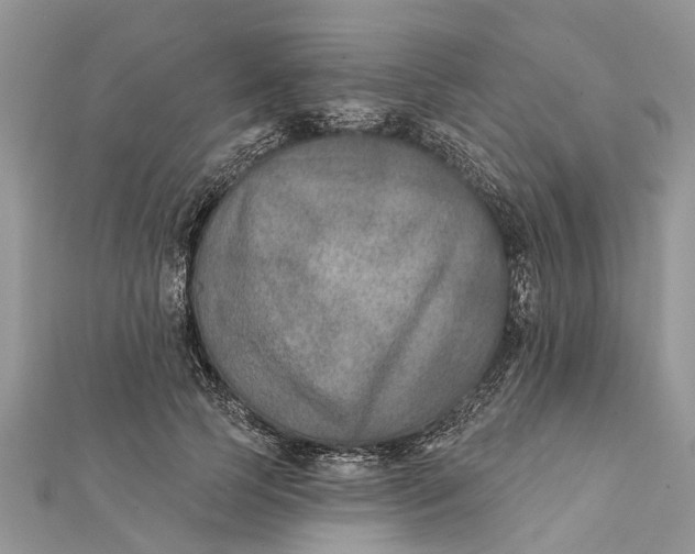 X0000112180745200908281401