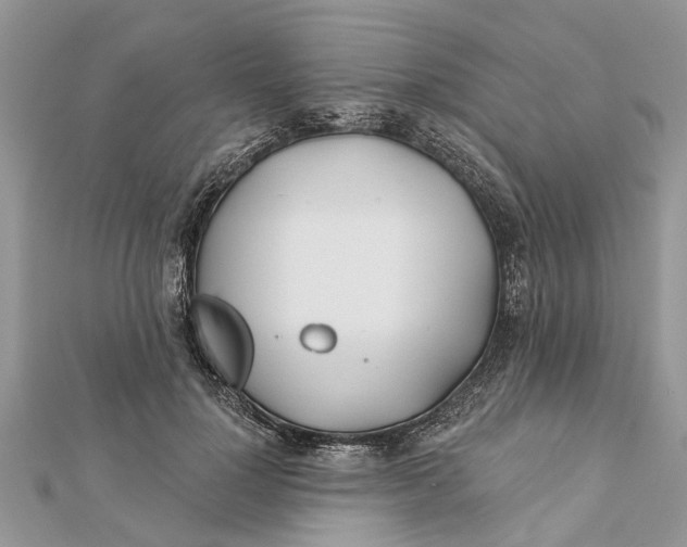 X0000112180748200908281401