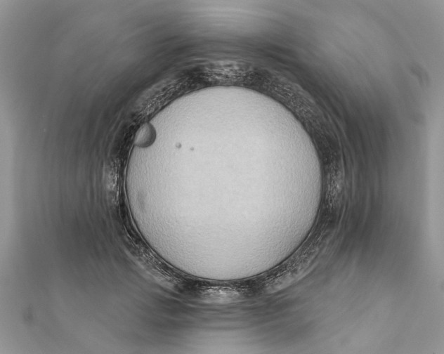 X0000112180749200908281401