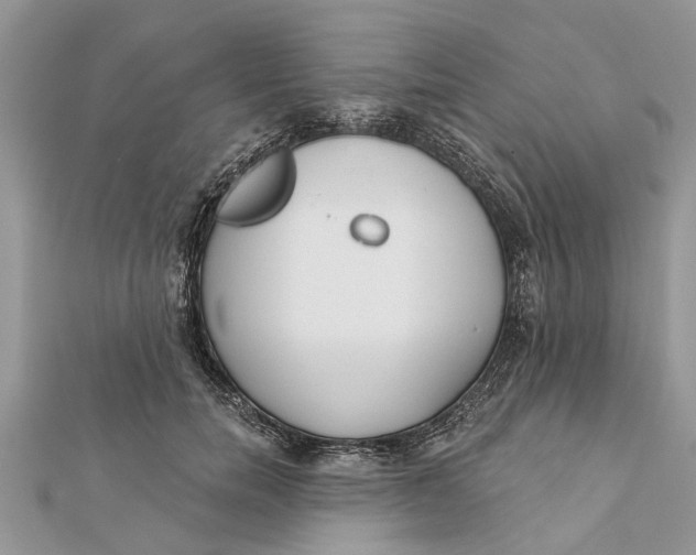 X0000112180750200908281401