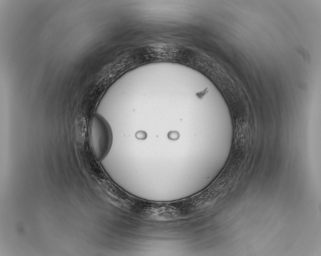 X0000112180752200908281401