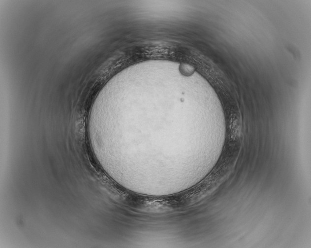 X0000112180753200908281401