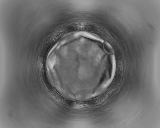 X0000112180754200908281401