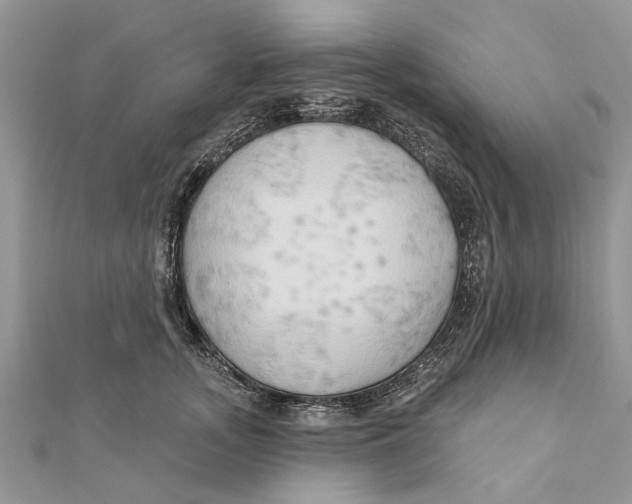 X0000112180755200908281401