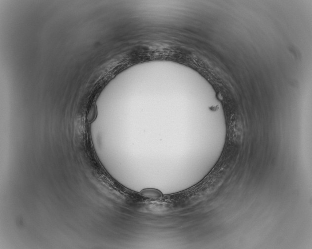 X0000112180756200908281401