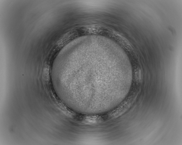 X0000112180757200908281401