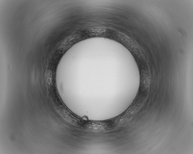 X0000112180758200908281401