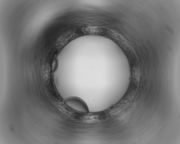 X0000112180760200908281401