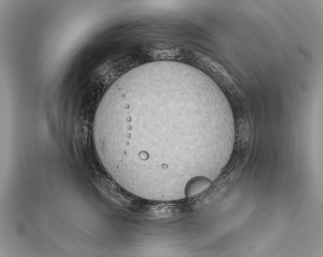 X0000112180761200908281401