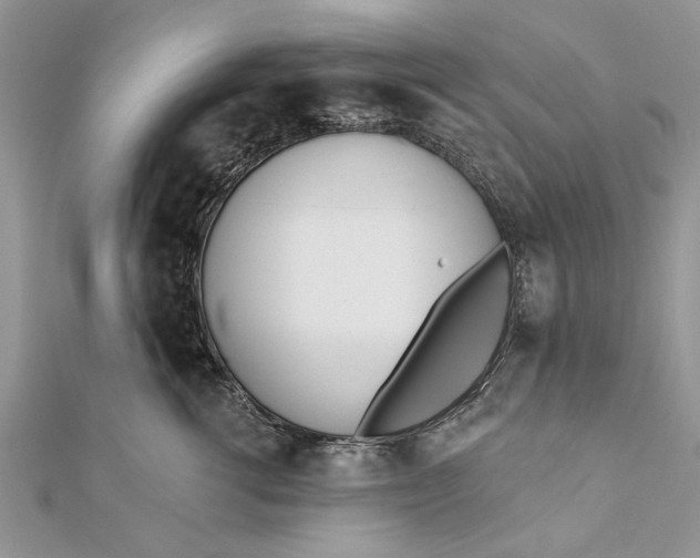 X0000112180762200908281401