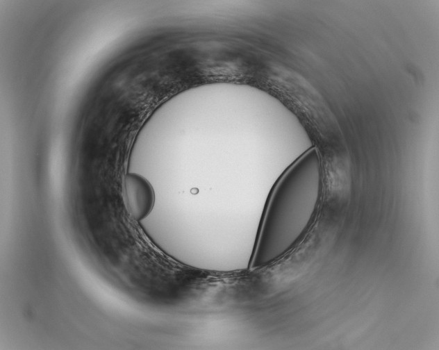 X0000112180764200908281401