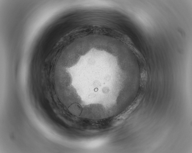 X0000112180765200908281401