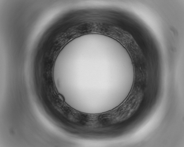 X0000112180766200908281401