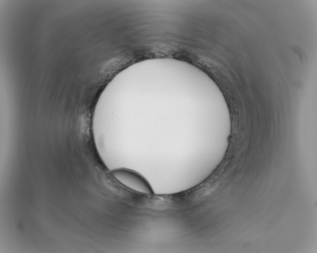 X0000112180768200908281401