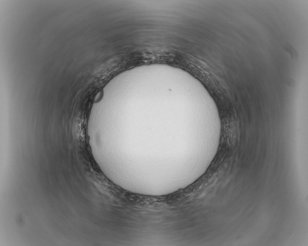 X0000112180770200908281401