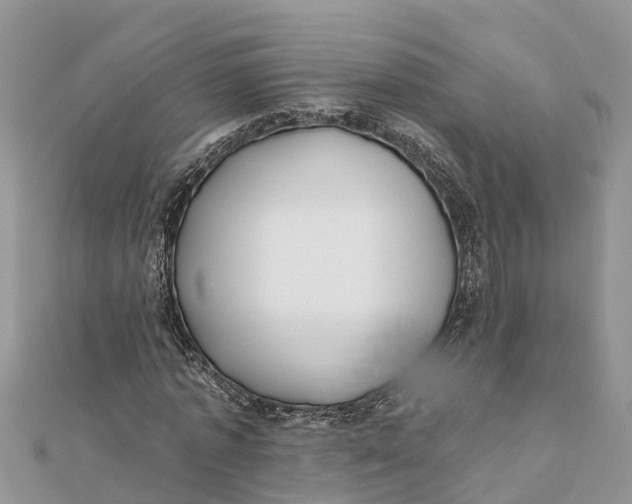 X0000112180773200908281401