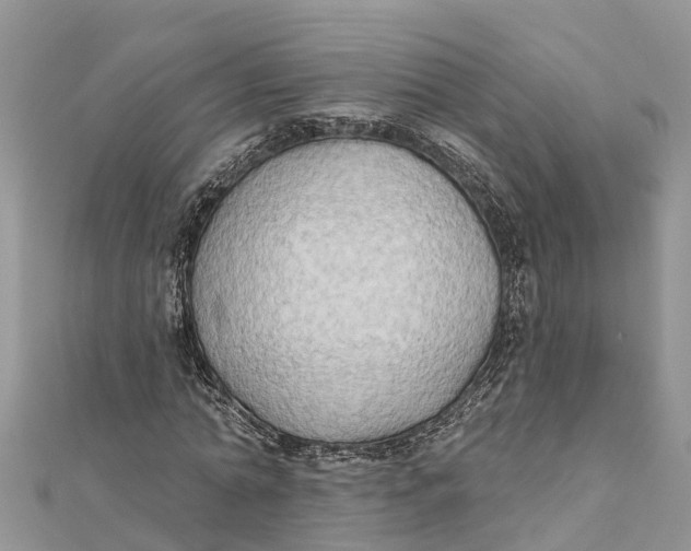 X0000112180774200908281401