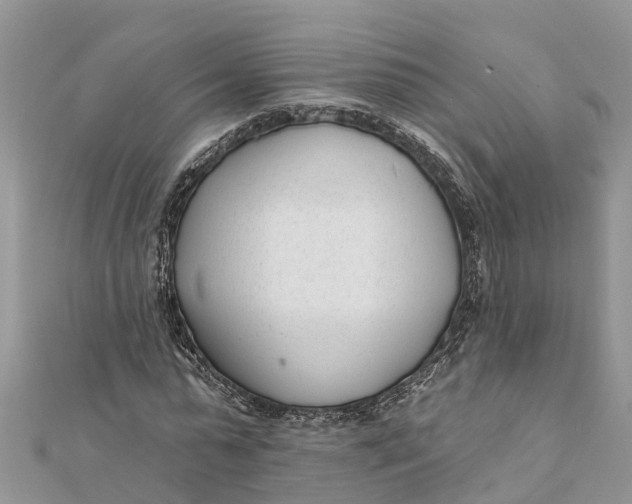 X0000112180775200908281401