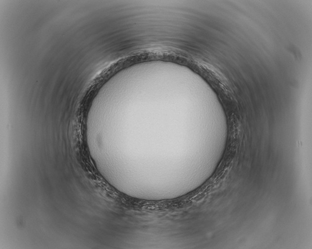 X0000112180776200908281401