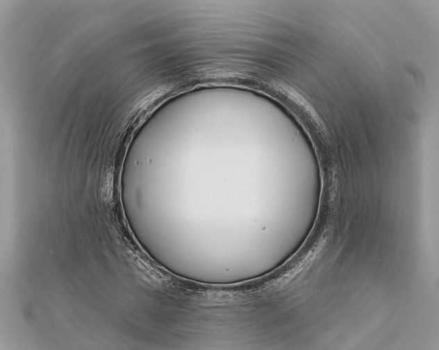 X0000112180777200908281401