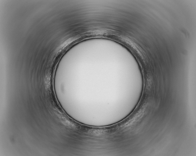 X0000112180778200908281401