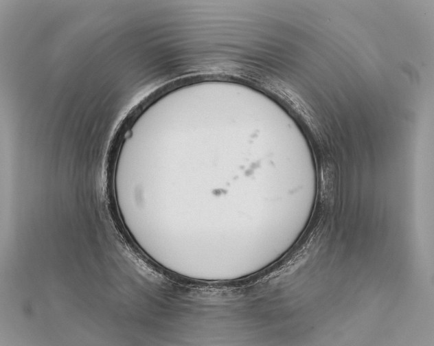 X0000112180780200908281401