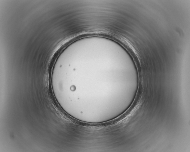 X0000112180781200908281401