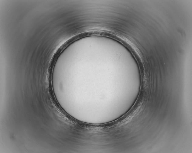 X0000112180783200908281401