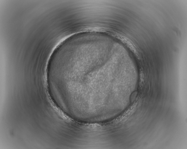 X0000112180784200908281401