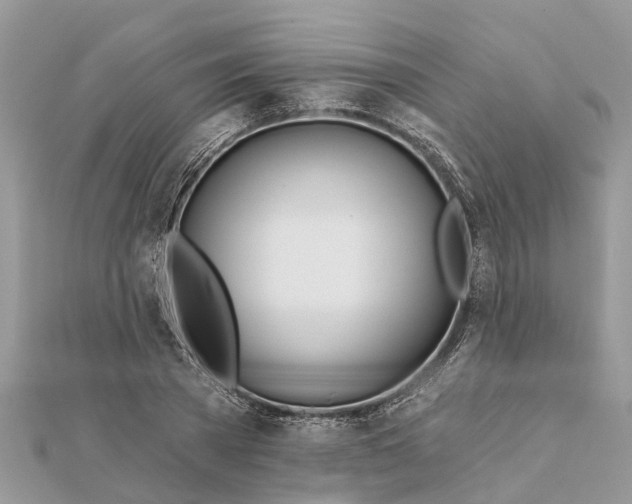 X0000112180785200908281400