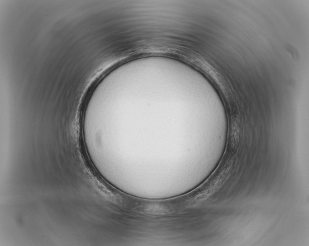 X0000112180787200908281400