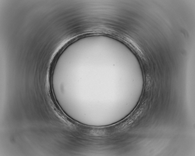 X0000112180788200908281400