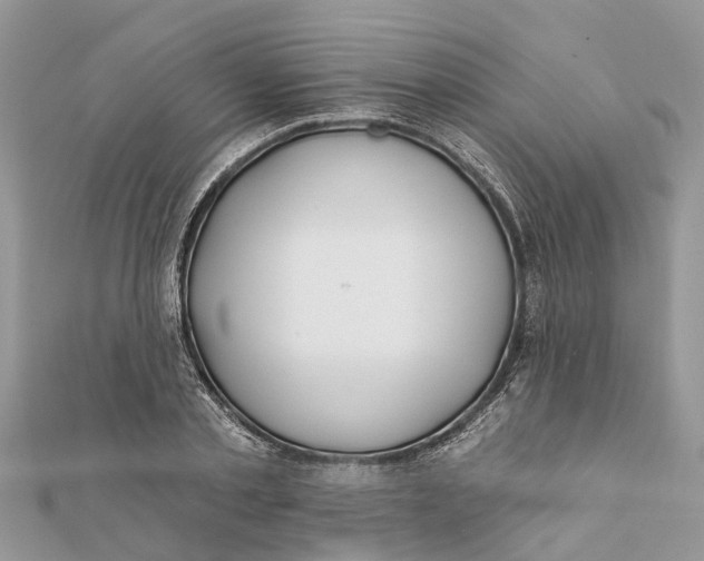 X0000112180789200908281400