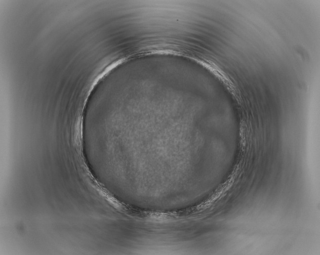 X0000112180790200908281400