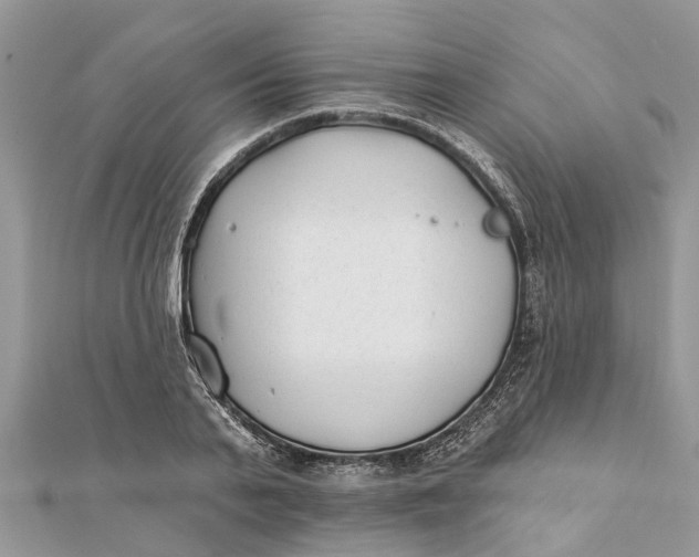 X0000112180791200908281400