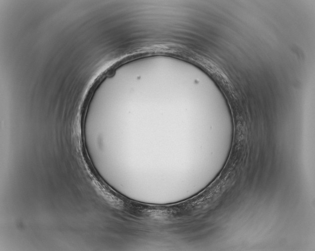 X0000112180792200908281400