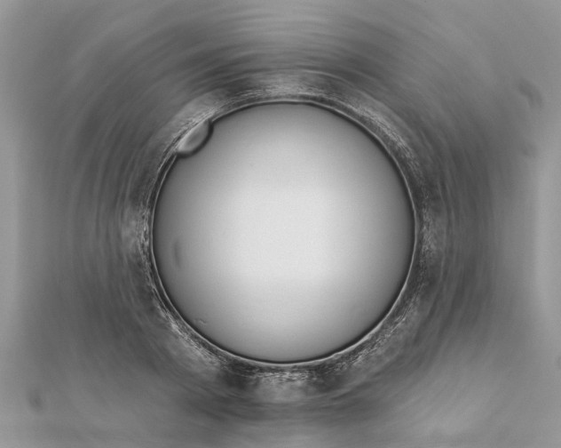 X0000112180793200908281400