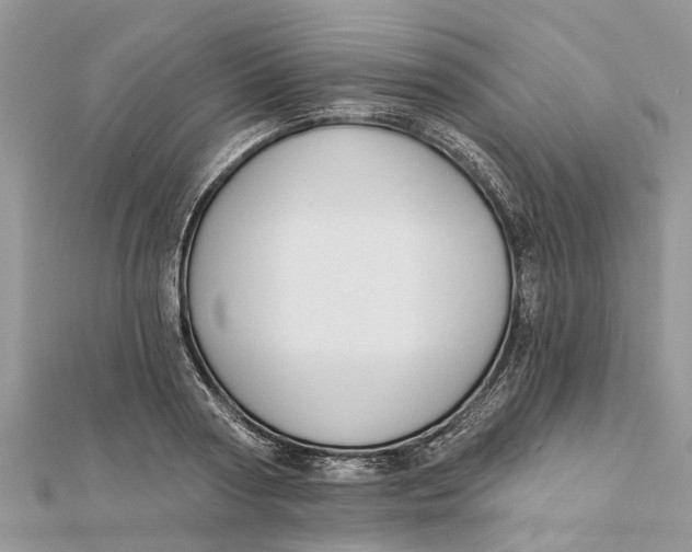 X0000112180794200908281400