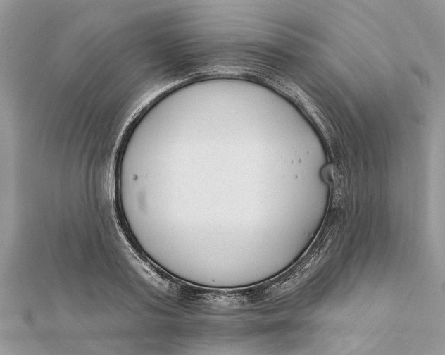 X0000112180795200908281400