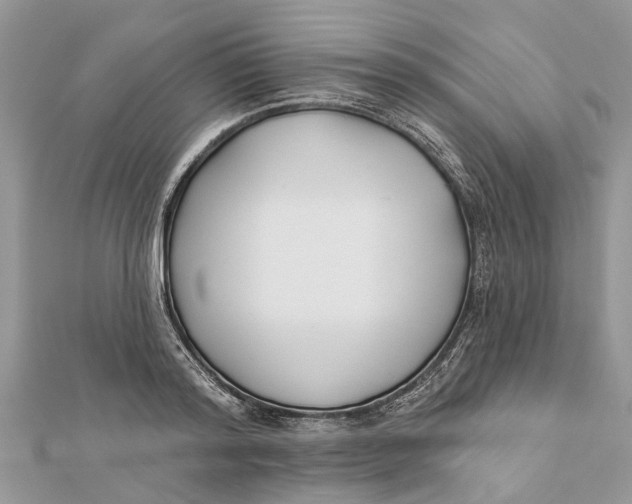 X0000112180796200908281400