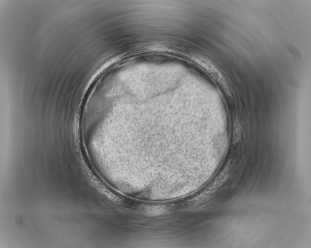 X0000112180798200908281400