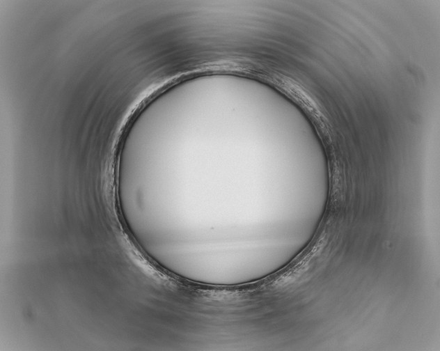 X0000112180800200908281400