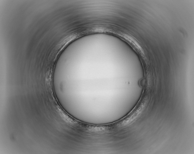 X0000112180801200908281400