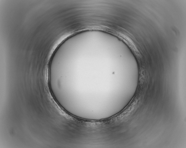 X0000112180804200908281400