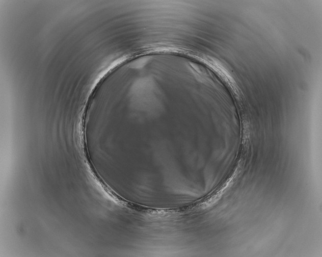 X0000112180806200908281400