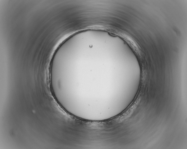 X0000112180808200908281400