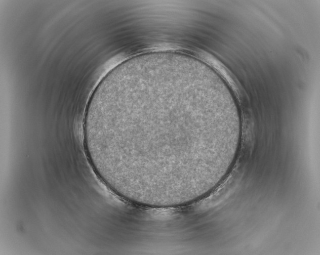 X0000112180810200908281400