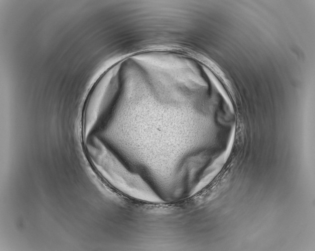 X0000112180811200908281400