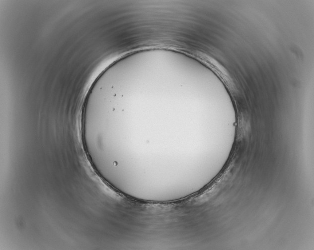 X0000112180812200908281400