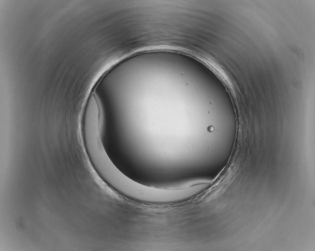 X0000112180813200908281400